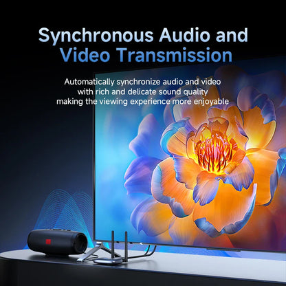 TV screen displaying a colorful flower with text about synchronous audio and video transmission.
