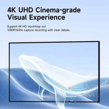 Dual Port Video Capture Card  HAGIBIS
