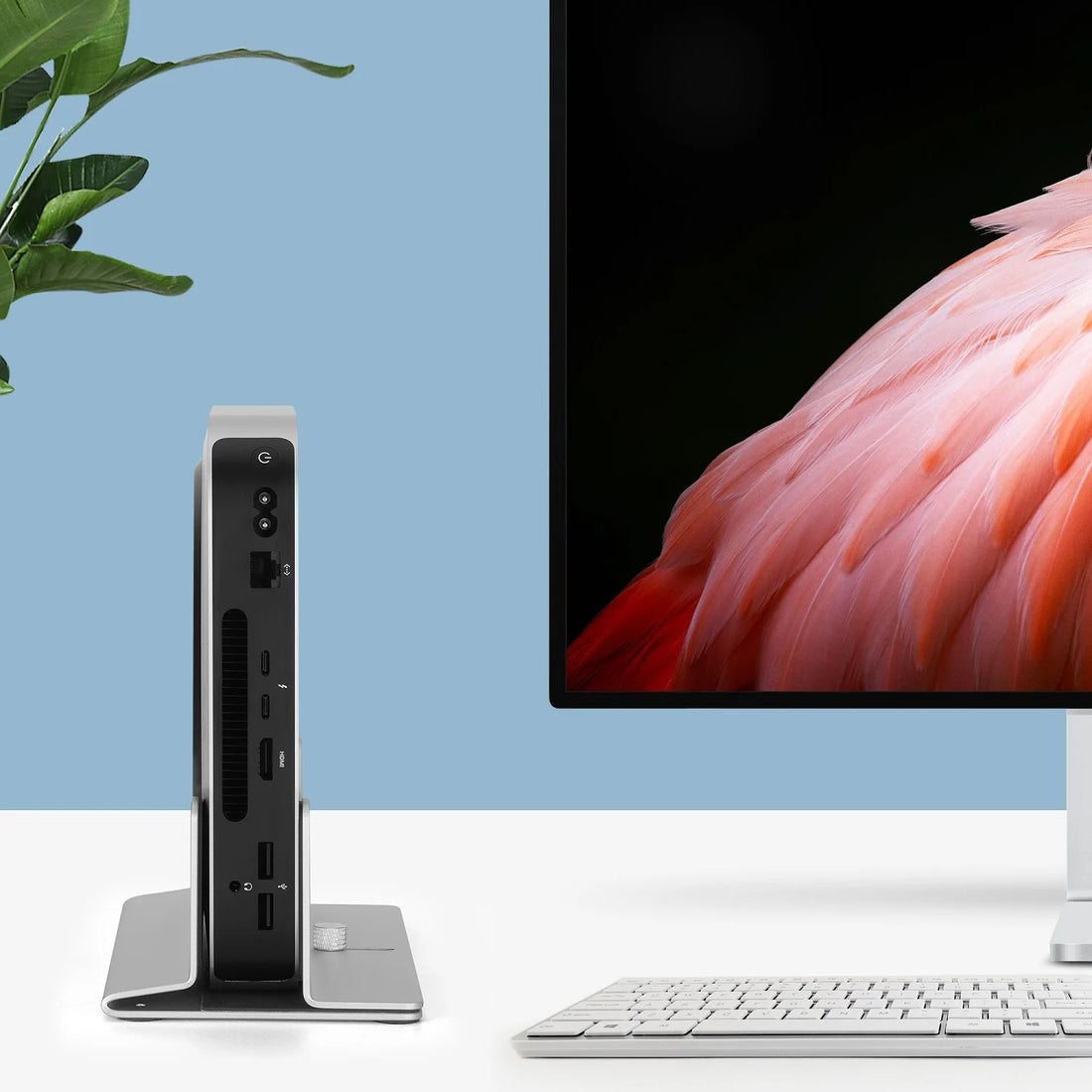 Computer setup with a monitor displaying a flamingo, a keyboard, and a small device on a white surface with a blue background.