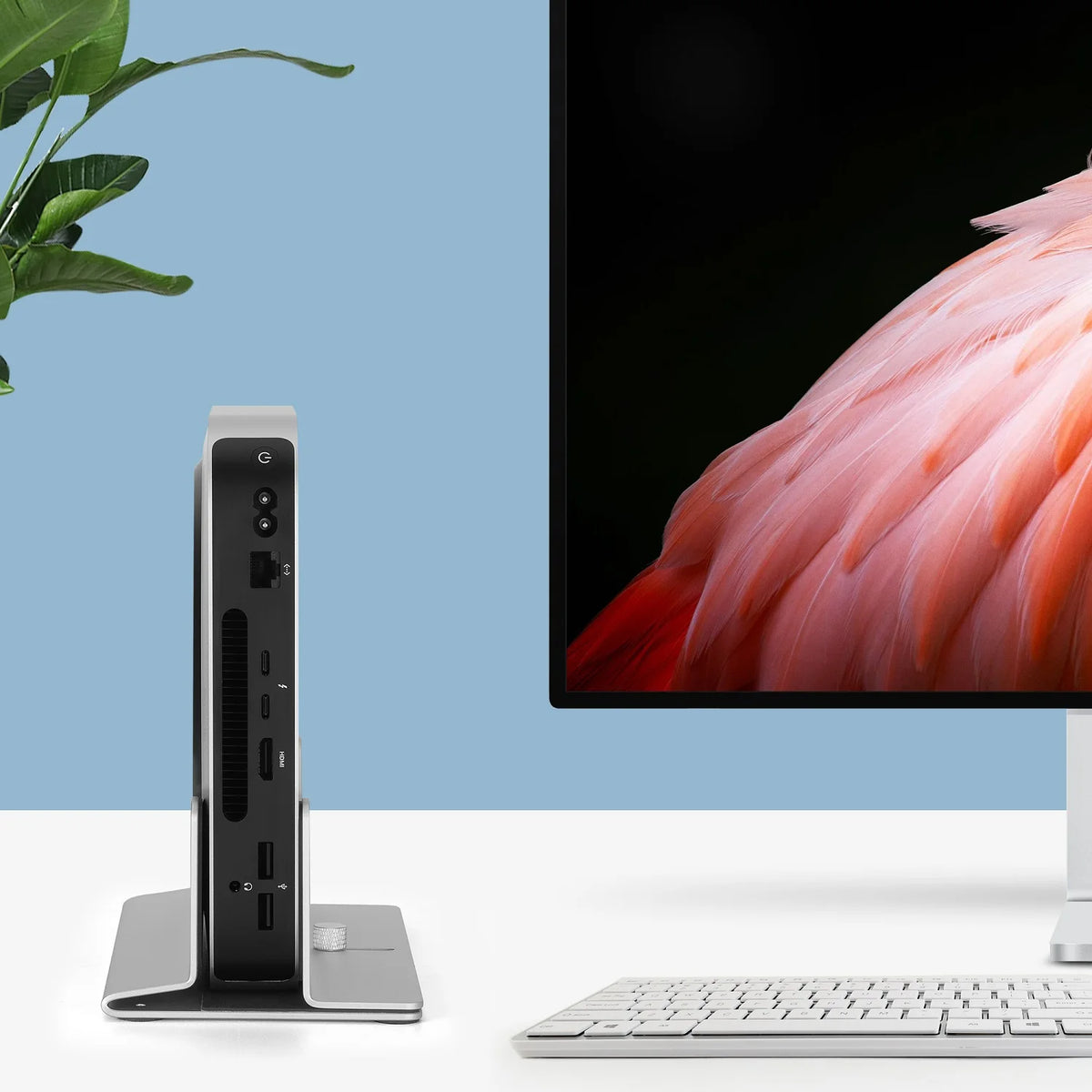 Computer setup with a monitor displaying a flamingo, a keyboard, and a small device on a white surface with a blue background.